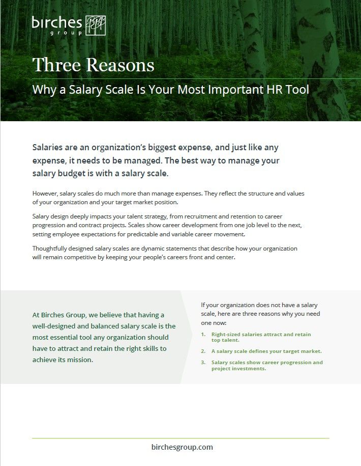 An infographic titled "Three Reasons Why a Salary Scale Is Your Most Important HR Tool" explains the benefits of a well-designed salary scale, including cost management, employee motivation, and market relevance.