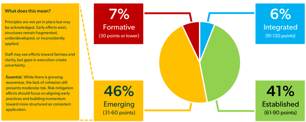A pie chart shows organizational maturity levels: 7% Formative, 46% Emerging, 41% Established, 6% Integrated. Explanatory text boxes detail each category's meaning.