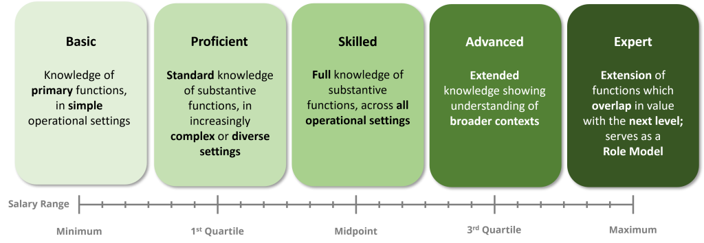 A five-level skills proficiency chart from Basic to Expert, each with descriptions, displayed above a salary range from Minimum to Maximum.